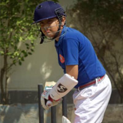 Cricket
